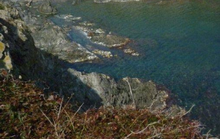 Location de vacances - Appartement à Banyuls-sur-Mer