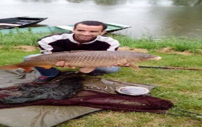 Location de vacances - Gîte à Benet