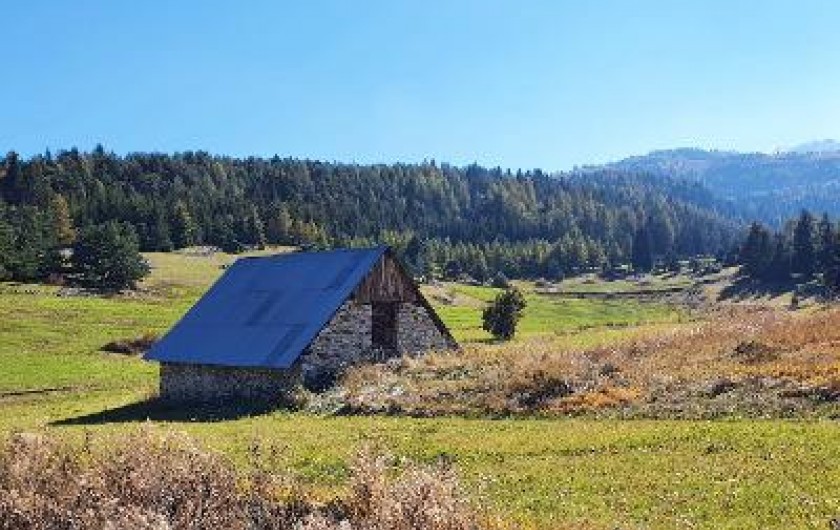 Location de vacances - Appartement à La Joue du Loup