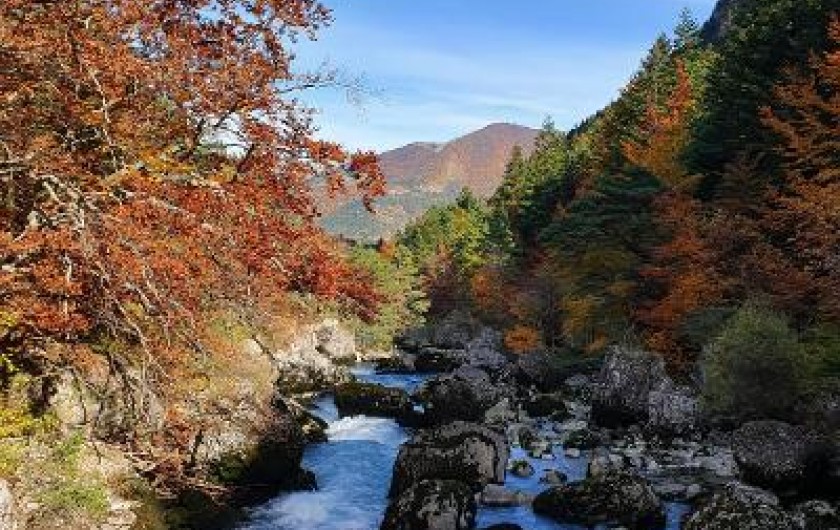 Location de vacances - Appartement à La Joue du Loup