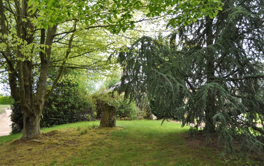 Location de vacances - Gîte à Lanvellec - Sous-bois, dans le jardin, devant Ty Coz