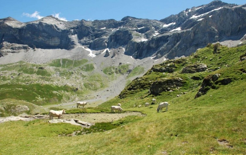 Location de vacances - Gîte à Esquièze-Sère - Cirque de Troumouse sauvage et majestueux