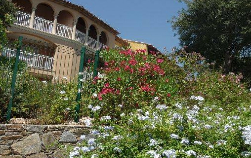 Location de vacances - Appartement à Les Issambres