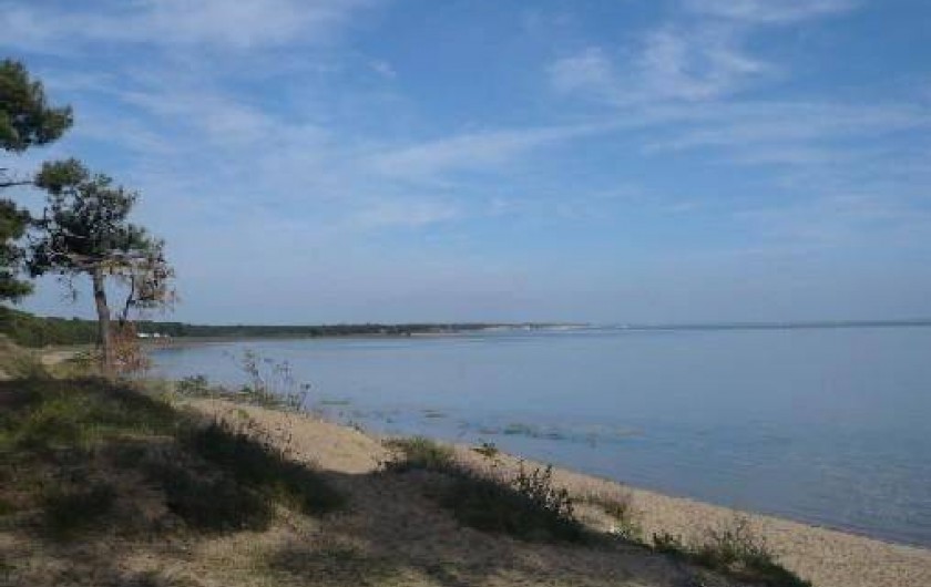 Location de vacances - Villa à La Palmyre