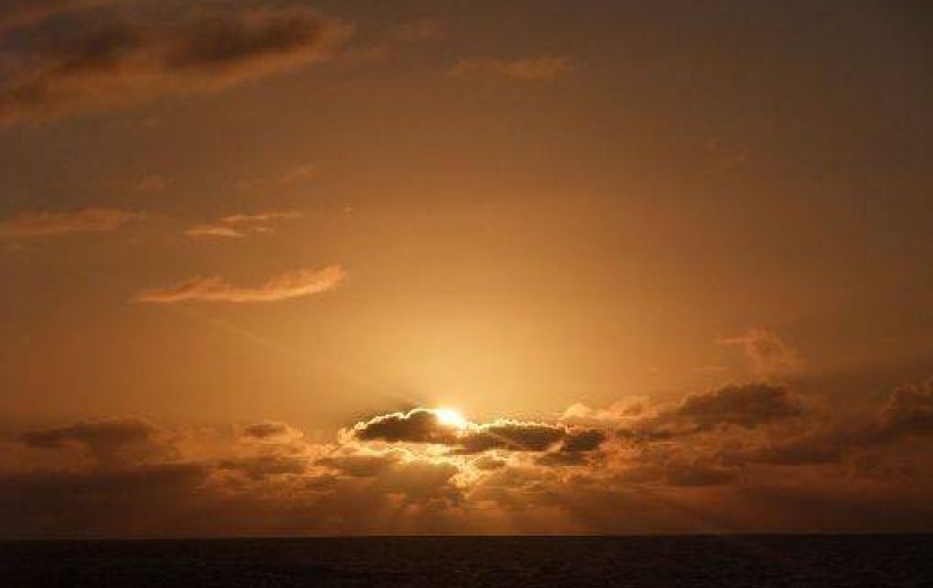 Location de vacances - Villa à La Palmyre