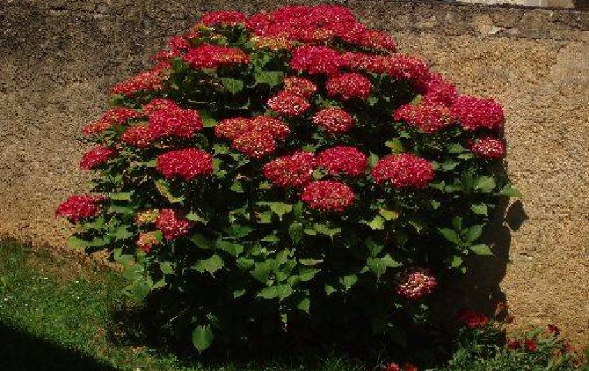 Location de vacances - Gîte à Saint-Avit-Rivière