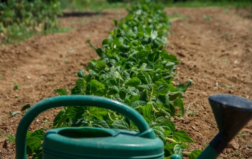Location de vacances - Gîte à Albi