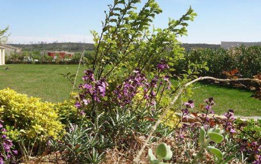 Location de vacances - Villa à Combas