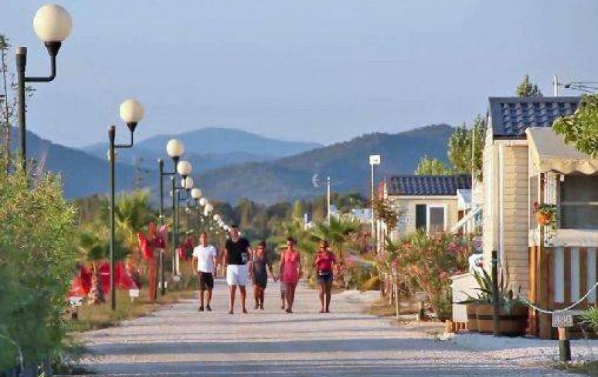 Location de vacances - Bungalow - Mobilhome à Hyères