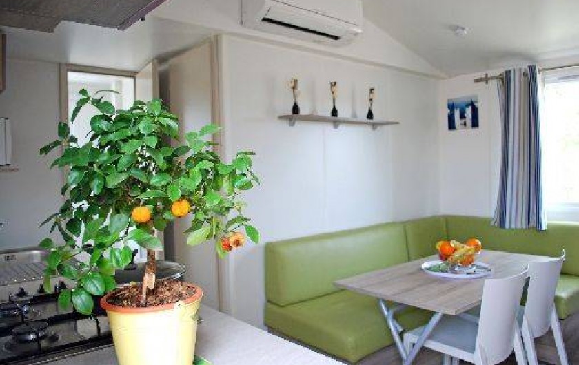 Location de vacances - Bungalow - Mobilhome à Hyères