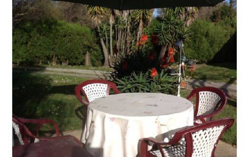 Location de vacances - Studio à Santa-Maria-Poggio