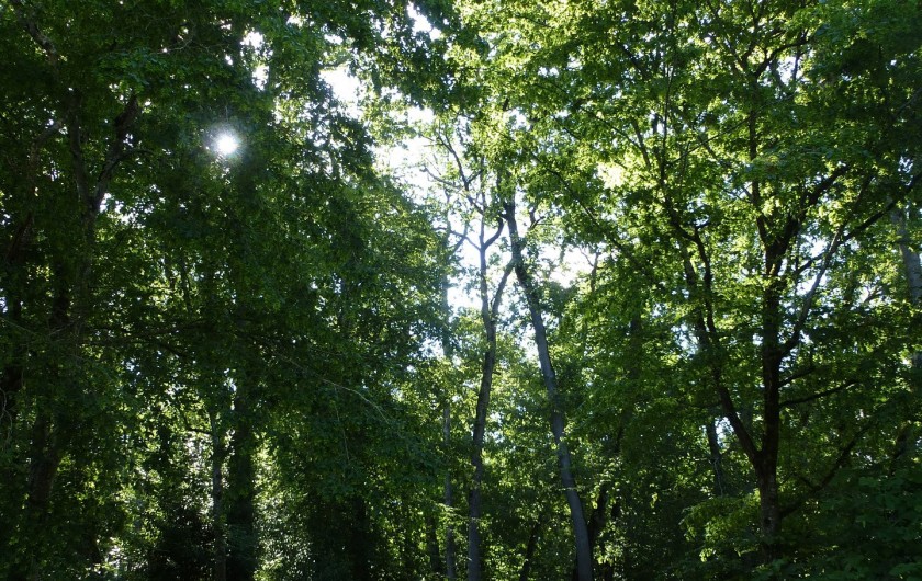 Location de vacances - Gîte à Festalemps