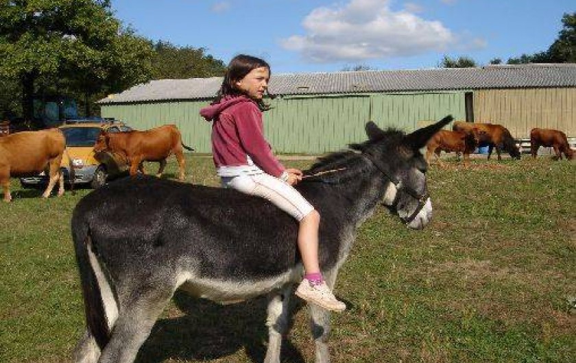 Location de vacances - Gîte à Montredon-Labessonnié