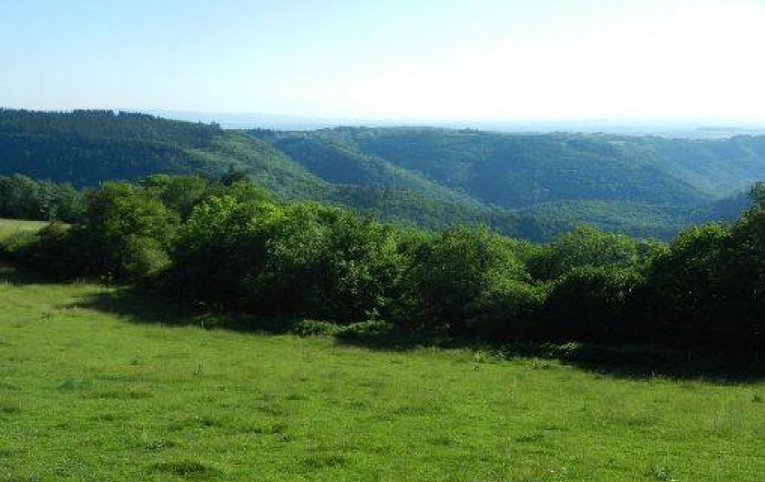 Location de vacances - Gîte à Montredon-Labessonnié