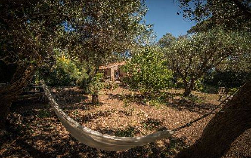 Location de vacances - Maison - Villa à Saint-Tropez