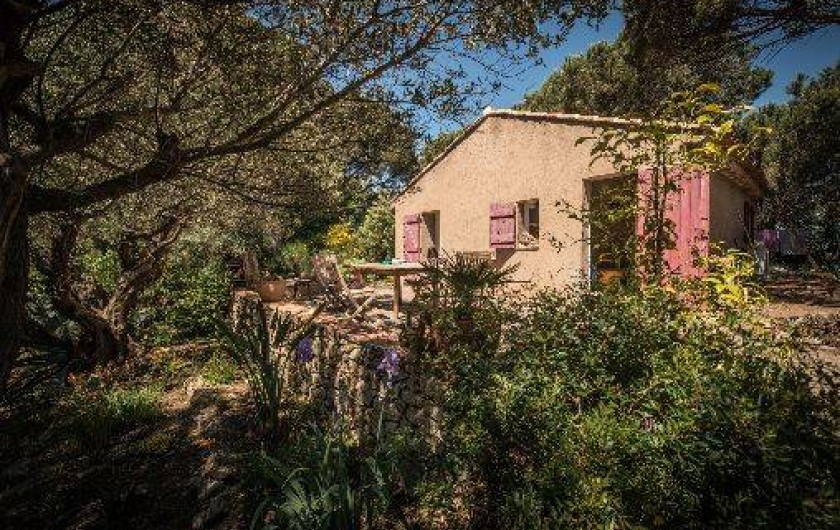 Location de vacances - Maison - Villa à Saint-Tropez