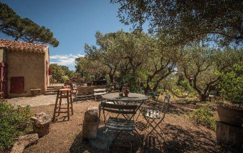 Location de vacances - Maison - Villa à Saint-Tropez