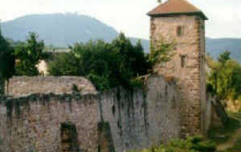 Location de vacances - Gîte à Bergheim - Rempart