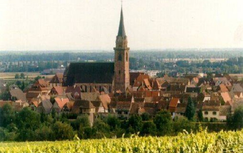 Location de vacances - Gîte à Bergheim
