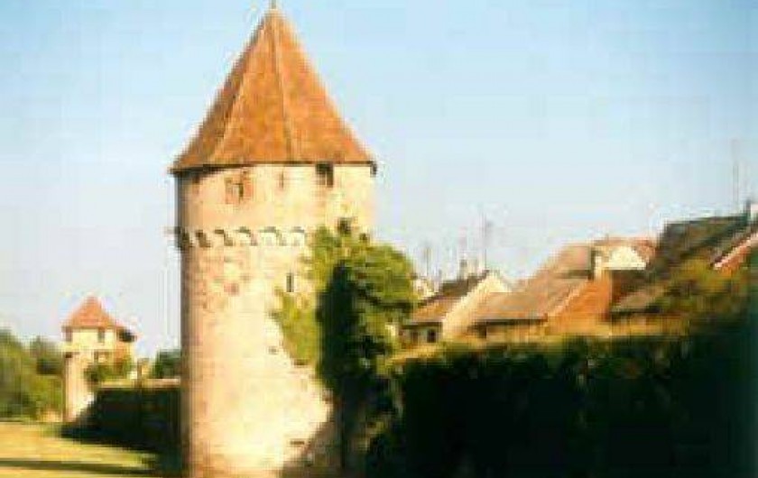 Location de vacances - Gîte à Bergheim - tour des remparts