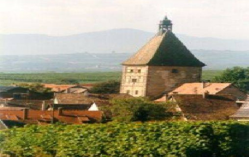 Location de vacances - Gîte à Bergheim - la Porte haute