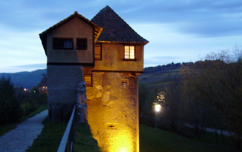 Location de vacances - Gîte à Bergheim - Tour des remparts