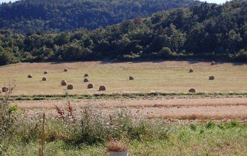 Location de vacances - Gîte à Saint-Victor