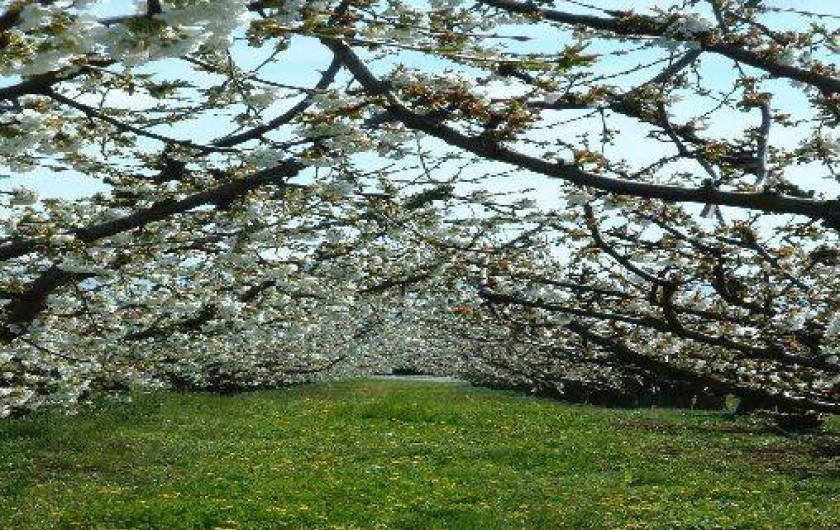 Location de vacances - Gîte à Saint-Victor