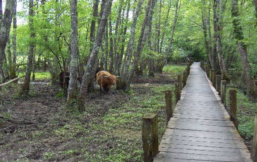 Location de vacances - Gîte à Chavornay