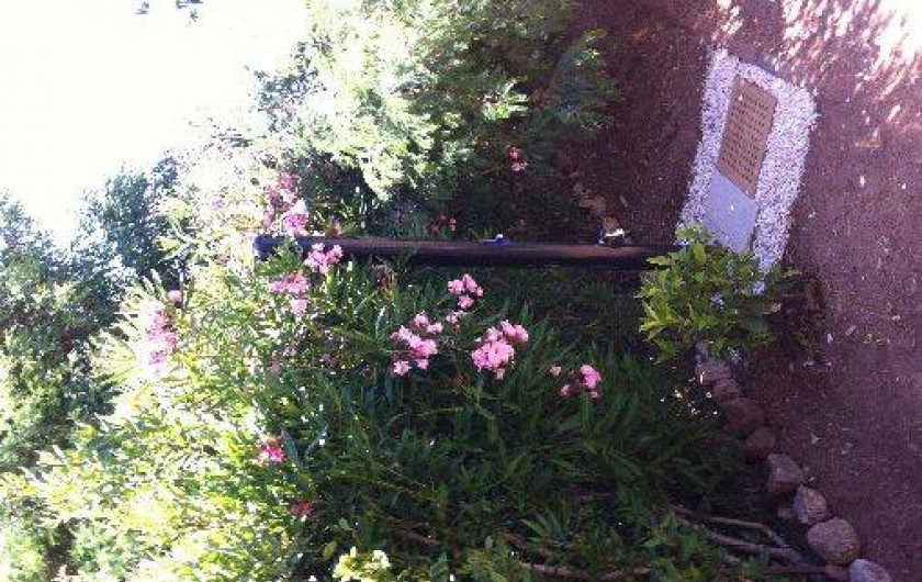 Location de vacances - Villa à La Londe-les-Maures