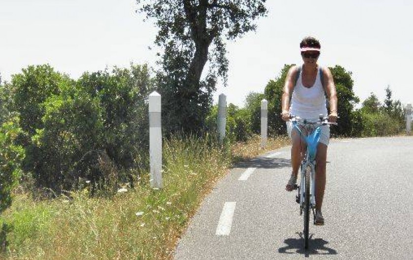 Location de vacances - Villa à La Londe-les-Maures