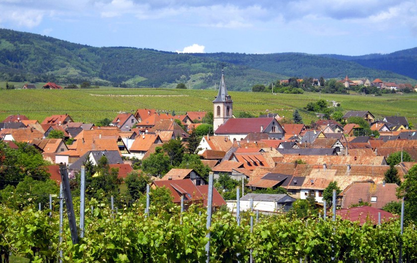 Location de vacances - Chambre d'hôtes à Beblenheim - Beblenheim vue du vignoble
