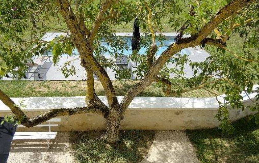 Location de vacances - Gîte à Biran