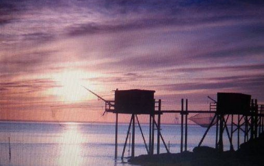 Location de vacances - Maison - Villa à Meschers-sur-Gironde