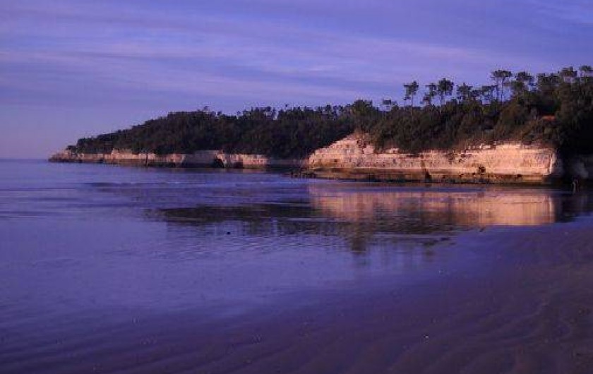 Location de vacances - Maison - Villa à Meschers-sur-Gironde