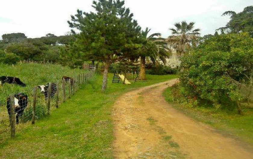 Location de vacances - Hôtel - Auberge à Sagone