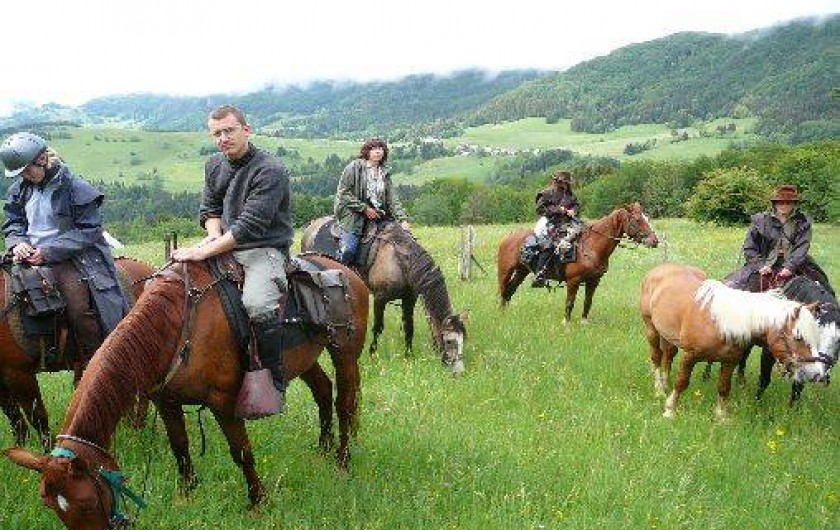 Location de vacances - Gîte à Saint-Vincent-de-Mercuze - Possibilité de balade à cheval à moins de 500m