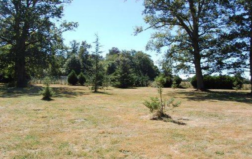 Location de vacances - Gîte à Ouzouer-sur-Trézée