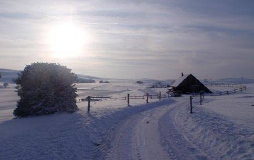 Location de vacances - Maison - Villa à Saint-Vincent-de-Salers