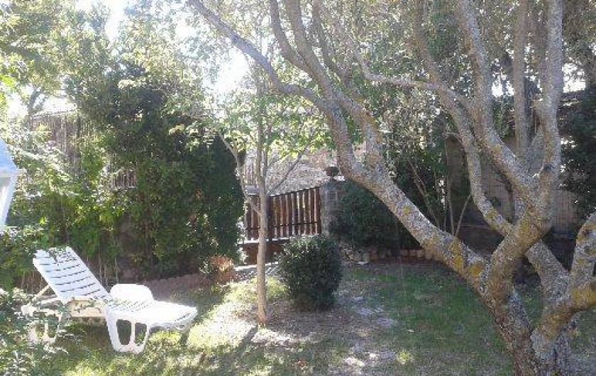 Location de vacances - Villa à Revest-des-Brousses - Jardin