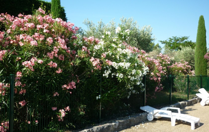 Location de vacances - Chalet à Saint-Rémy-de-Provence