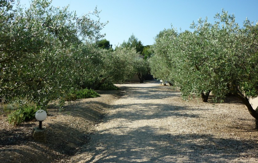 Location de vacances - Chalet à Saint-Rémy-de-Provence