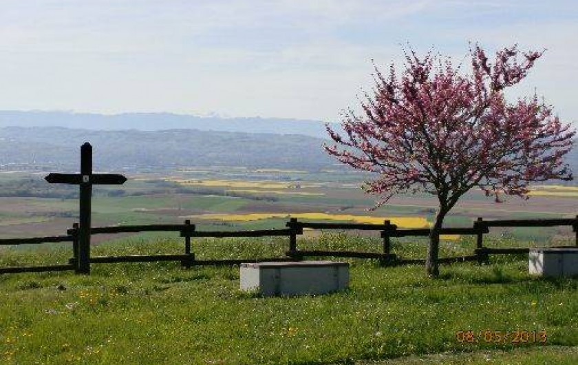 Location de vacances - Gîte à Gillonnay