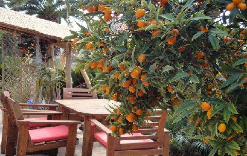 Location de vacances - Maison - Villa à Carqueiranne