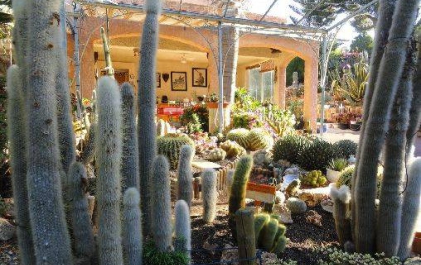 Location de vacances - Maison - Villa à Carqueiranne