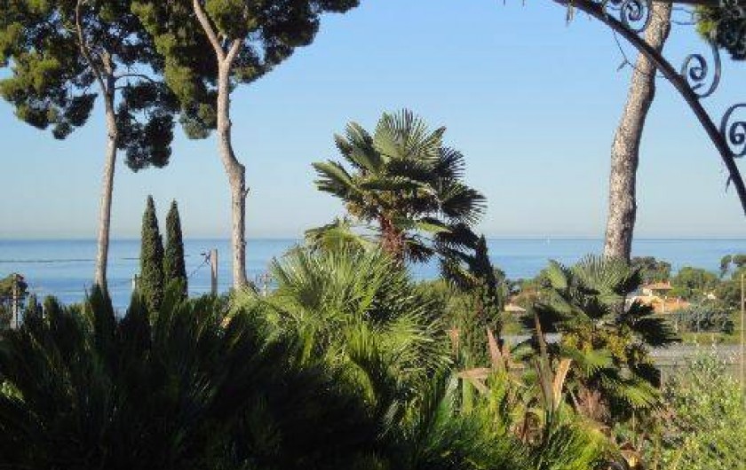 Location de vacances - Maison - Villa à Carqueiranne