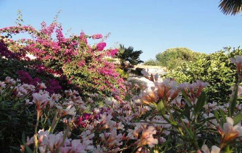 Location de vacances - Maison - Villa à Carqueiranne