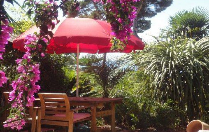 Location de vacances - Maison - Villa à Carqueiranne