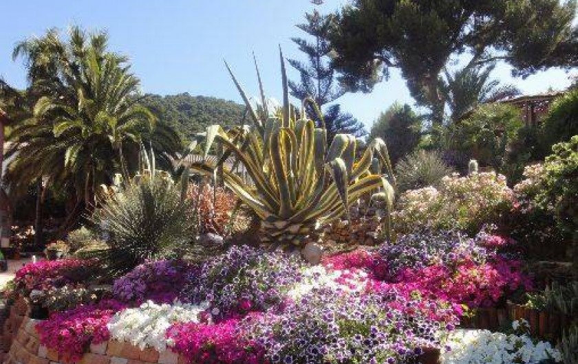 Location de vacances - Maison - Villa à Carqueiranne