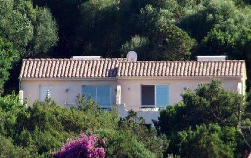Location de vacances - Maison - Villa à Porto-Vecchio